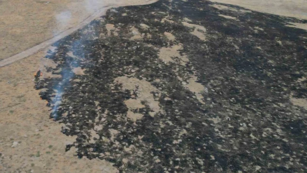 250 Dönüm Otluk Alan Kül Oldu
