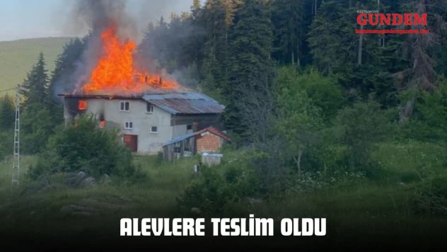 Alevlere Teslim Oldu