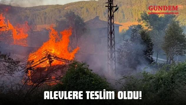 Alevlere Teslim Oldu!