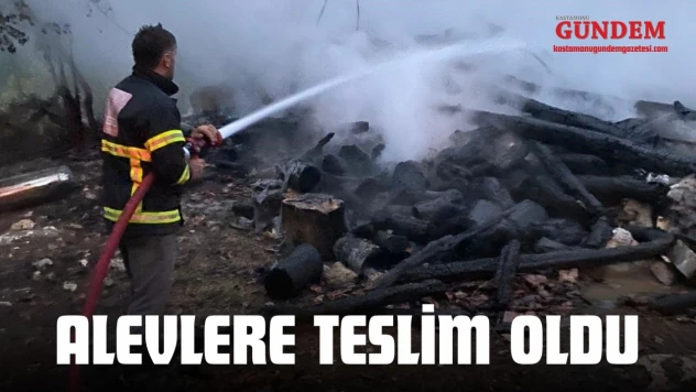 Alevlere Teslim Oldu