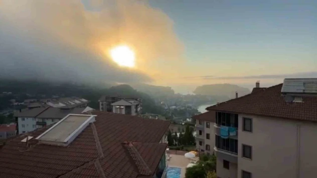 Aniden Ortaya Çıktı, Korku Dolu Anlara Neden Oldu