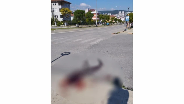 Aracında otururken bıçaklandı