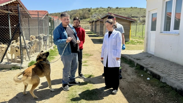 Aradığı Köpeğini Eflani'de Buldu