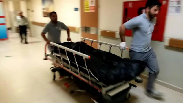 Arı soktu hayatını kaybetti