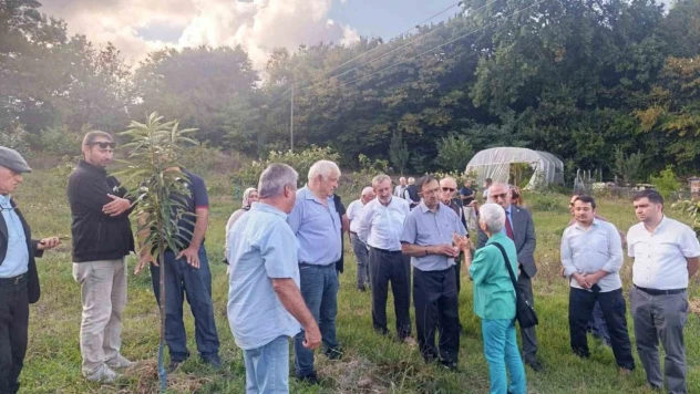 Kestane Balının Geleceğini Konuştular