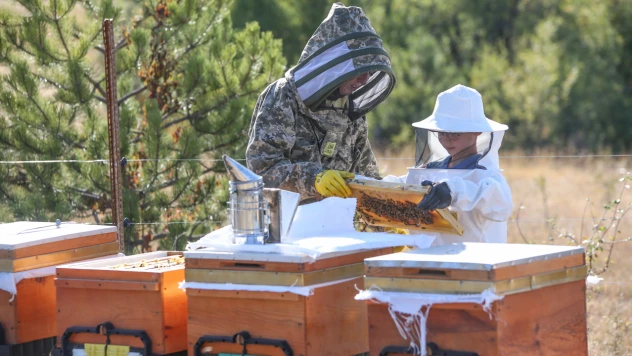 Arıları İçin 900 Kilometre Yol Kat Ediyor