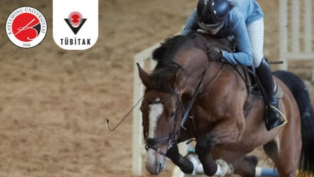 Atçılıkta Yapay Zekâ Dönüşümü