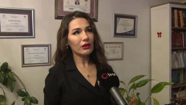 Avukat Aslıhan Ergün Ercan: 'Şiddetin Statüyle Alakası Yok'