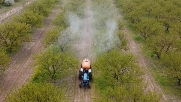 B-Reçete Sistemi İle Elektronik Kaydı