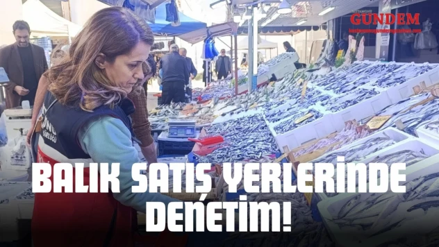 Balık Satış Yerlerinde Denetim!