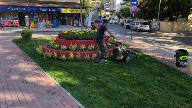Bartın'da Düzenleme Çalışması