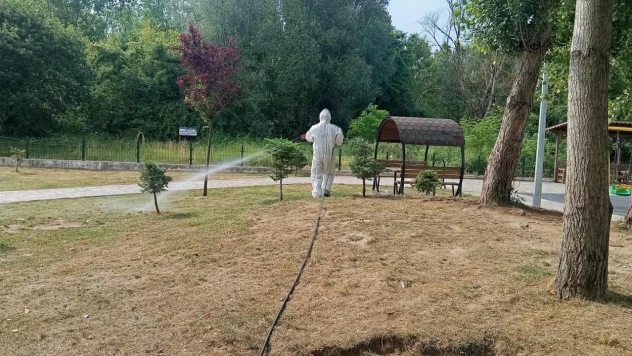 Bartın'da İlaçlama Çalışması