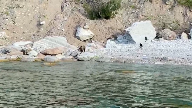 Bartın'da İlginç Anlar