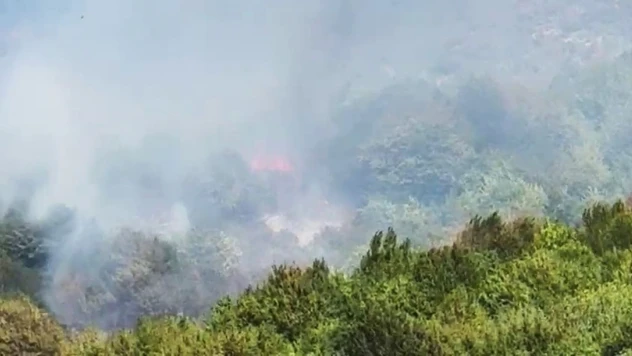 Bartın'da Orman Yangını Çıktı