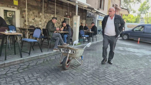 Bartın'ın Maskotu Öldü