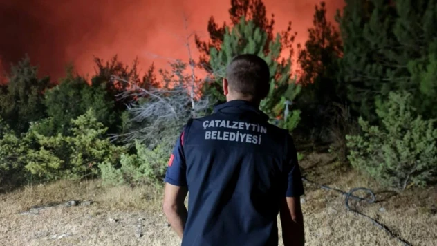 Başkan Demir Duyurdu: Çatalzeytin'den Yangın Bölgesine Destek