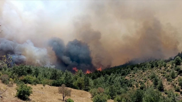 Bazı İllerde Çıkan Orman Yangınlarına Müdahale Sürüyor