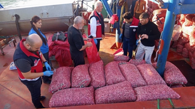 Beyaz Kum Midyesi Avcılığına Sıkı Denetim