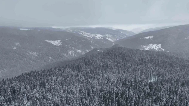 Ilgaz Dağı Havadan Görüntülendi