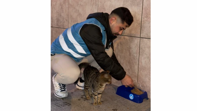 'Bir Kap Bir Mama' Kampanyasıyla Sokak Hayvanlarına Destek