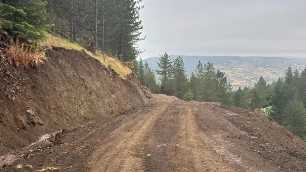 Bir Orman Yolu Daha Tamamlandı