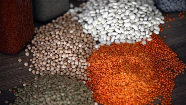 Bitkisel Üretim Azaldı