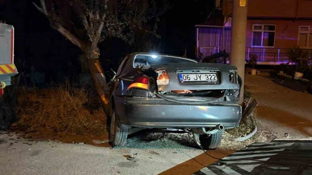Bolu'da Alkollü Sürücü Ağaca Çarptı