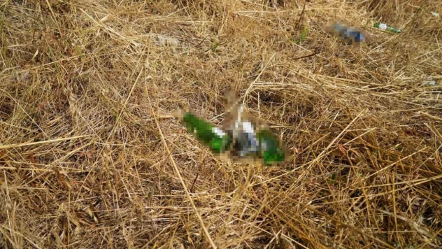 Bolu'da Anız Yakana Cezalar Arttı