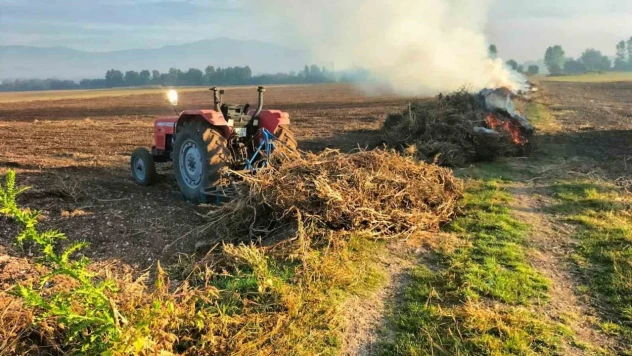 Anız Yakana Hapis Ve Para Cezası Var