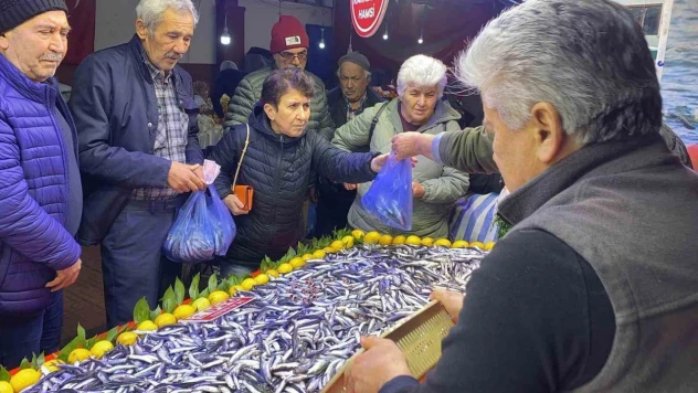 Bolu'da Balık Tezgahlarında Hamsi Bolluğu