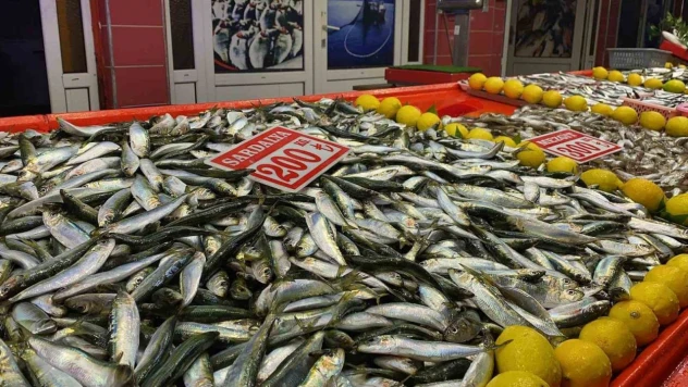 Bolu'da Balık Tezgahlarını Fırtına Vurdu