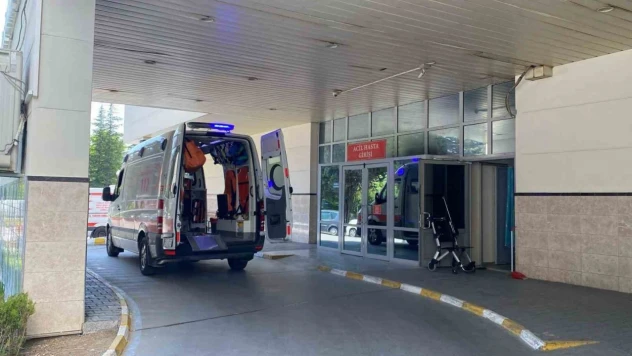 Bolu'da Bir Hastada 'Deli Dana' Hastalığı Tespit Edildi