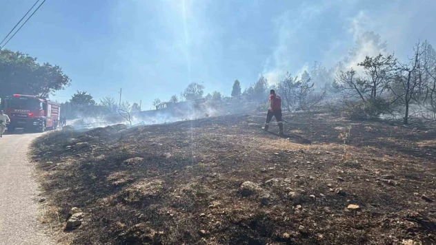 Bolu'da Çalılık Arazide Çıkan Yangın Evlere Sıçramadan Söndürüldü