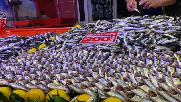 Bolu'da Fırtına Balık Tezgahlarını Vurdu