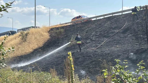 Bolu'da Gişelerin Girişinde Otluk Alanda Yangın