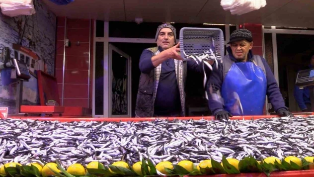 Bolu'da Hamsinin Kilosu 150 Liraya Düştü