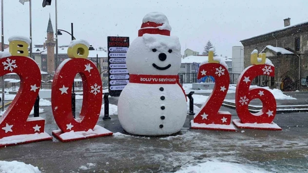 Bolu'da Kar Fırtınası Hayatı Olumsuz Etkiledi