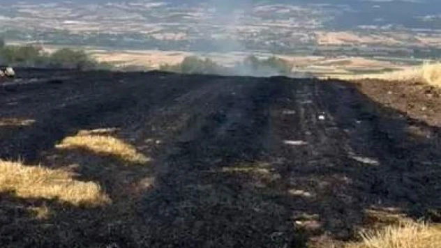 Bolu'da Korkutan Anız Yangını