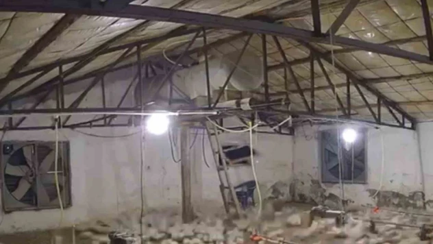 Bolu'da Kümese Girmeye Çalışan Ayı Kamerada