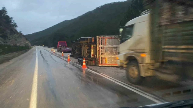 Bolu'da Odun Yüklü Tır Devrildi