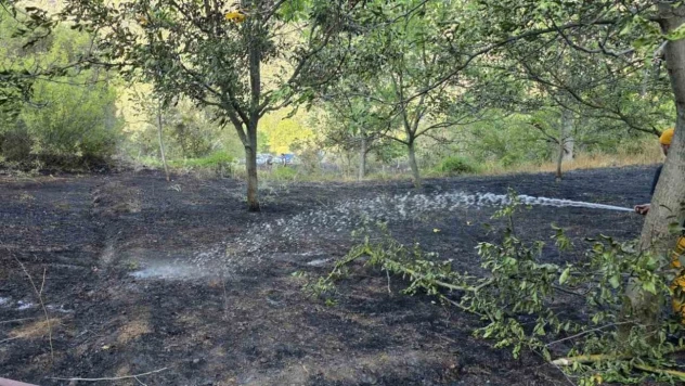 Bolu'da Otluk Alanda Yangın