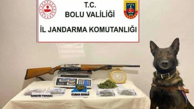 Bolu'da Uyuşturucu Operasyonu