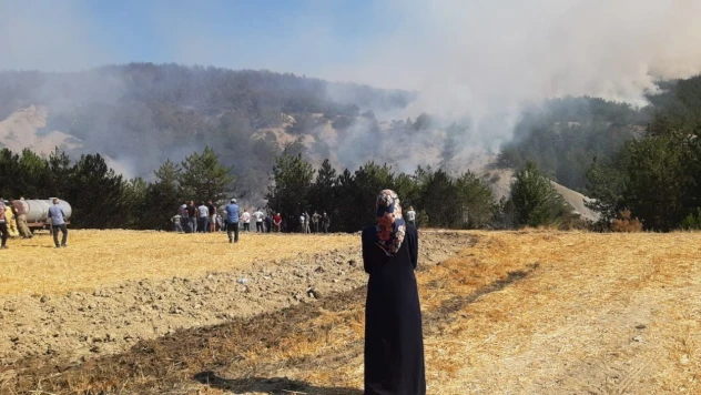 Bolu'daki Orman Yangını 5'inci Saatinde