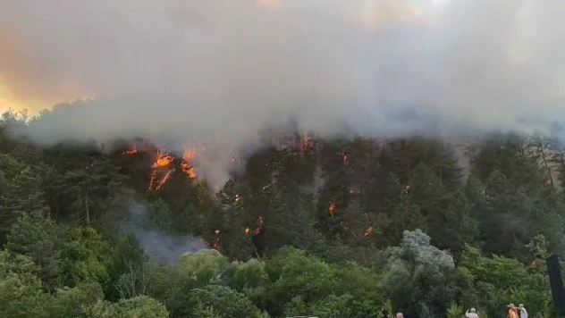 Bolu'daki Orman Yangını Yayılıyor: 7 Helikopterle Havadan Destek