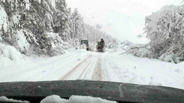 Bolu'nun Mengen İlçesinde Hummalı Çalışma