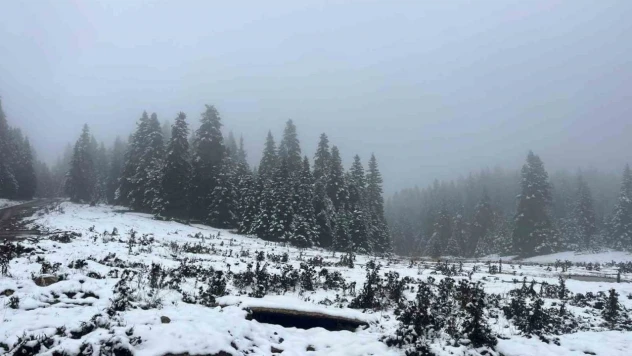 Bolu'nun Yüksekleri Beyaz Örtüyle Kaplandı