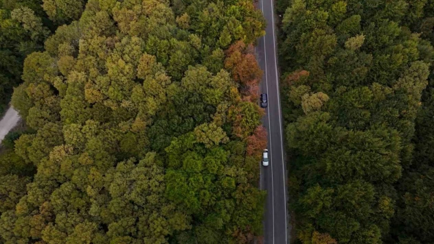 Muhteşem Sonbahar Güzelliği