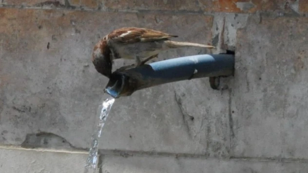 Bolu son 94 yılın en sıcak gününü yaşadı