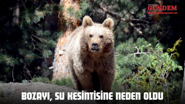 Bozayı, Köyün Suyunun Kesilmesine Neden Oldu