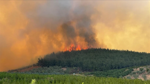 Bursa'da Çıkan Orman Yangını Kontrol Altına Alındı